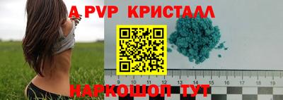 СК Севастополь