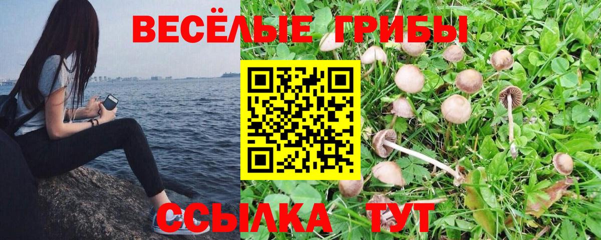 Псилоцибиновые грибы мухоморы Тайшет