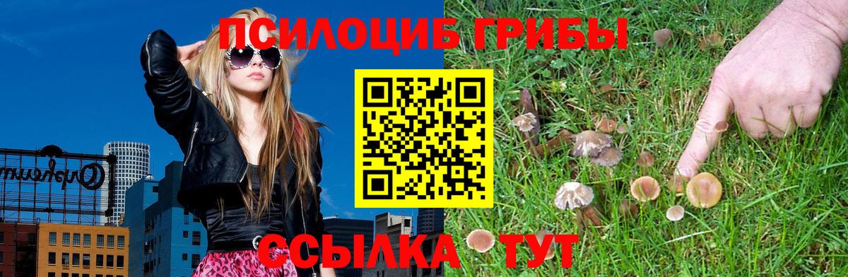 Тайшет  Псилоцибиновые грибы Psilocybe  Галлюциногенные грибы Psilocybine cubensis  Вход с VPN 